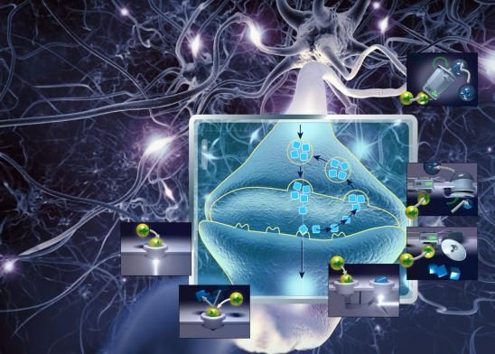 Illustration for Science & Vie Special Issue no. 255 — How psychoactive drugs fool our brain.